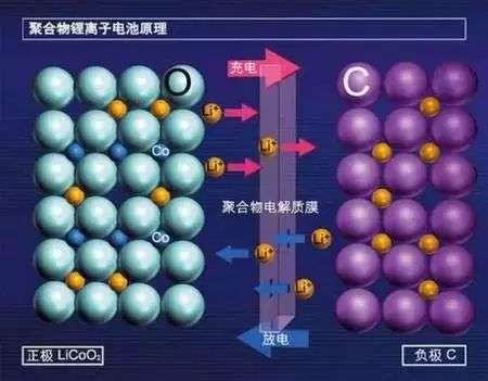 小编血泪控诉：特斯拉无钴电池 让我的股票赔的裤子都没了！