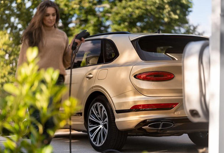 3cf7000d-95dd-42f4-a5fe-6a9e96294b8b_630_w1