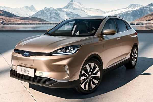 威马发布“6*6*6先锋服务计划”，抢占用户服务市场